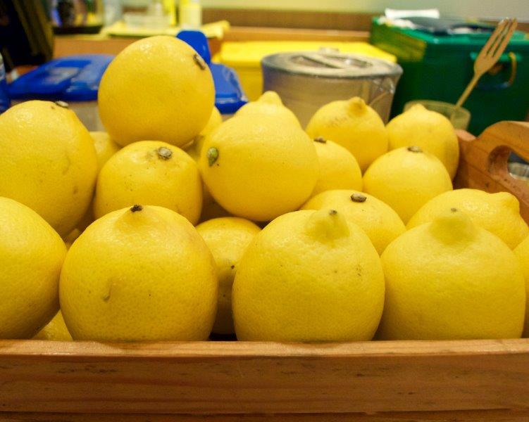 Lemonade Stand