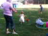 bubbles