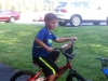 gavin