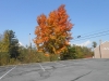 DSCN0489