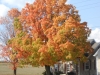 DSCN0492