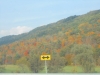 DSCN0494