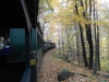 DSCN0522
