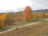 DSCN0532