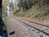 DSCN0534