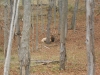 DSCN0569