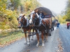 belgian-horses-covered-wagon