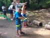 bow-and-arrow