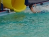 water-tube
